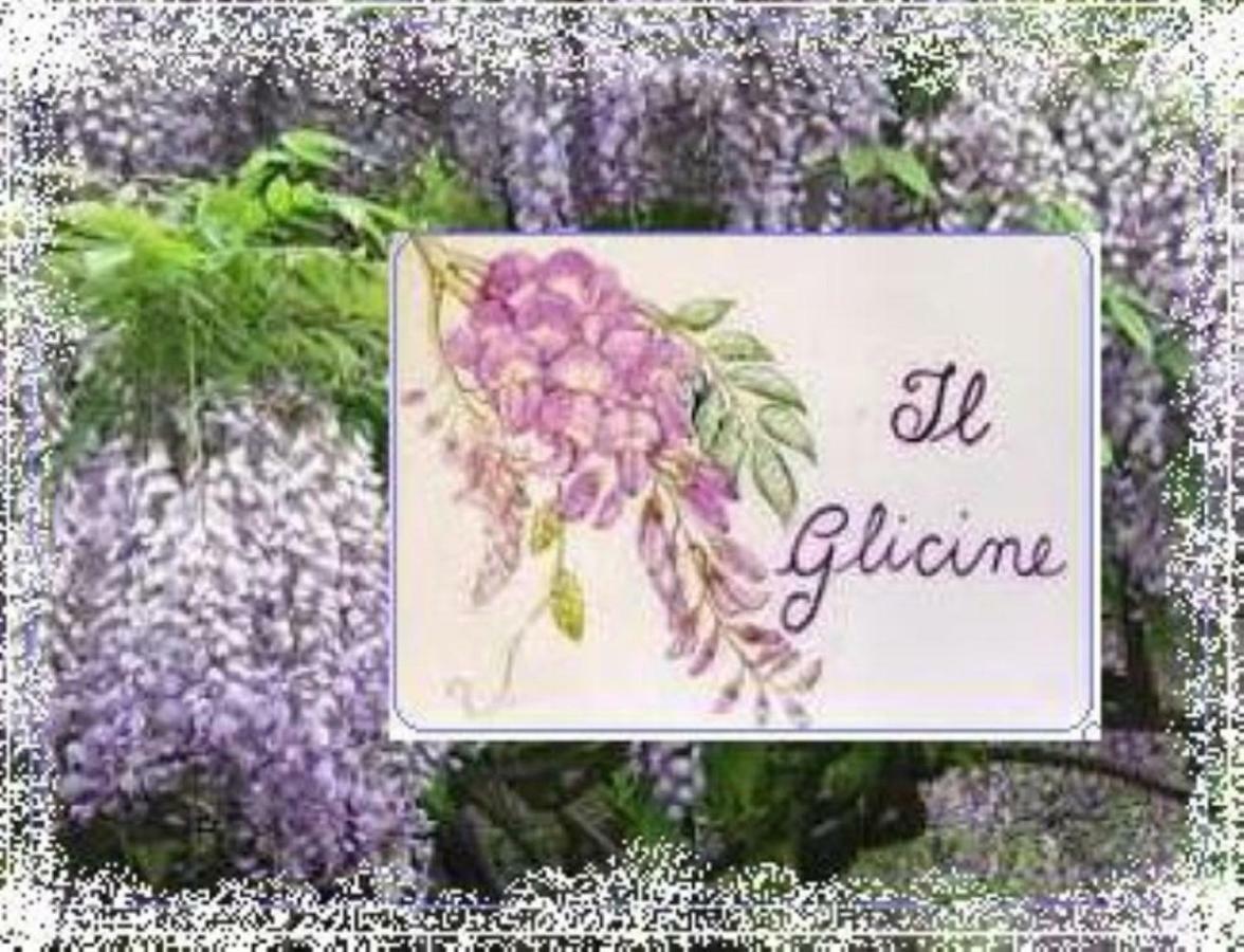 Il Glicine Di Lucca Lägenhet Exteriör bild